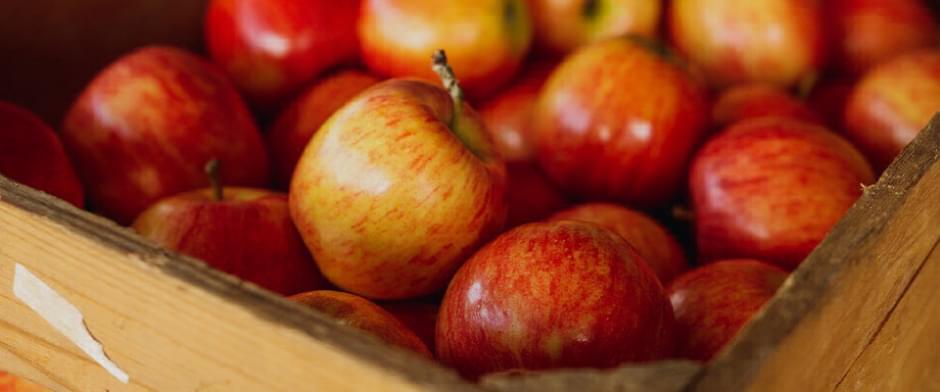 CONHEÇA 10 VARIEDADES DE MAÇÃS E AS SUAS CARACTERÍSTICAS