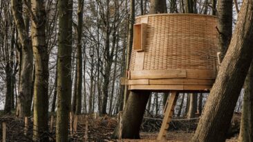 Esta casa na árvore é construída a partir de árvores derrubadas para provar a importância do gerenciamento eficaz da floresta