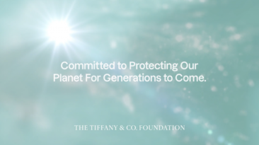 Tiffany & Co. Foundation ultrapassa US$ 100 milhões em doações para proteger paisagens marítimas e naturais