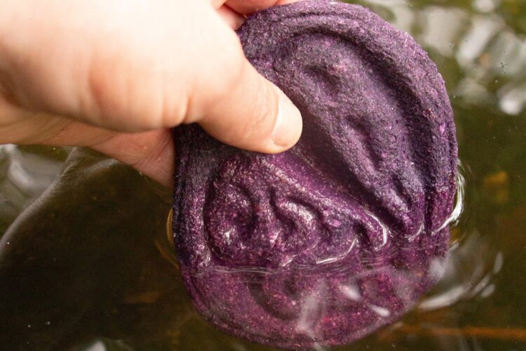 Bio-ferramenta inteligente feita de repolho roxo detecta se sua água está contaminada Bio-ferramenta inteligente feita de repolho roxo detecta se sua água está contaminada