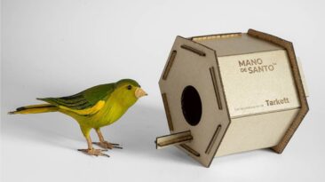 Um jogo Linoleum Birdhouse que educa e incute os valores da sustentabilidade