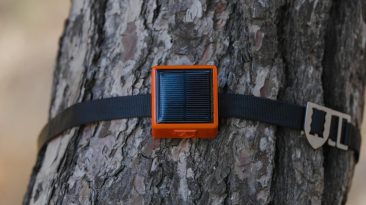 Sistema de sensor de incêndio florestal pode detectar perigo nos primeiros 15 minutos