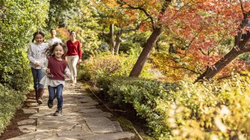 Melhores lugares para visitar no outono