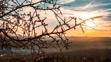 ALERtejo – Encontro Literário de Elvas