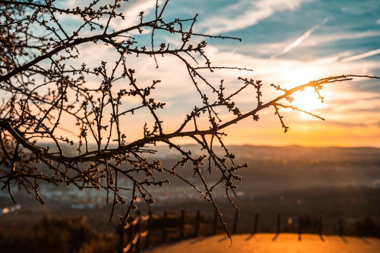 ALERtejo – Encontro Literário de Elvas ALERtejo – Encontro Literário de Elvas